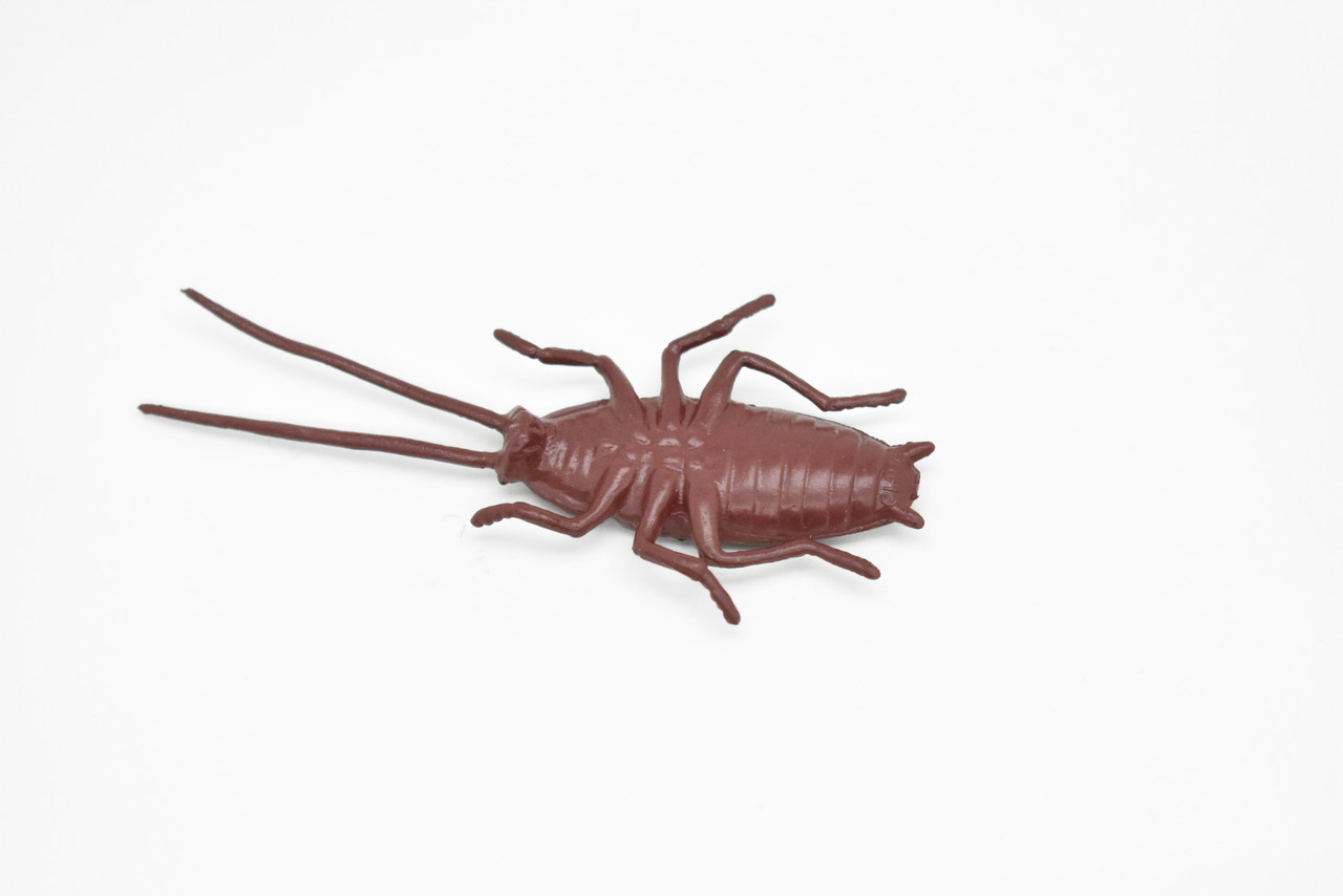 Cockroach, Rubber Toy Insect, Realistic Figure, Model, Replica, Kids Educational Gift,     3  inches long     F1652 B74