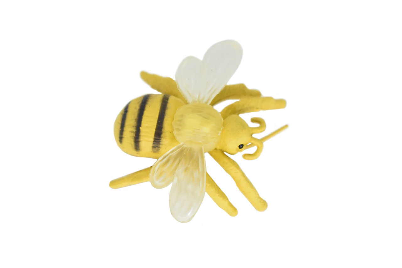 Honeybee, Plastic Toy Animal, Kids Gift, Realistic Figure, Educational Model, Replica,  1 5/8 inches long    F1655 B74