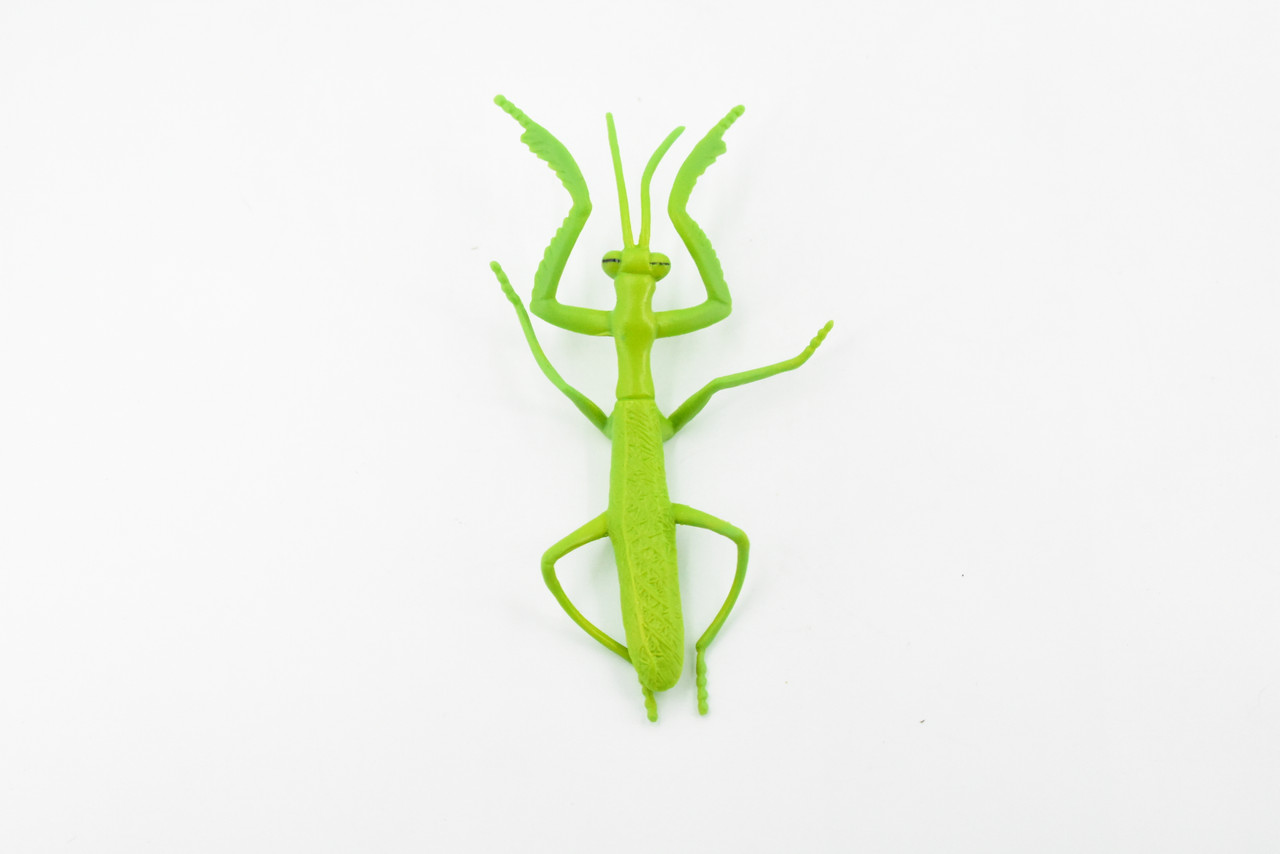 Praying Mantis, Rubber Insect, Toy, Realistic Figure, Model, Replica, Kids Educational Gift,    3 1/2"     F1657B74