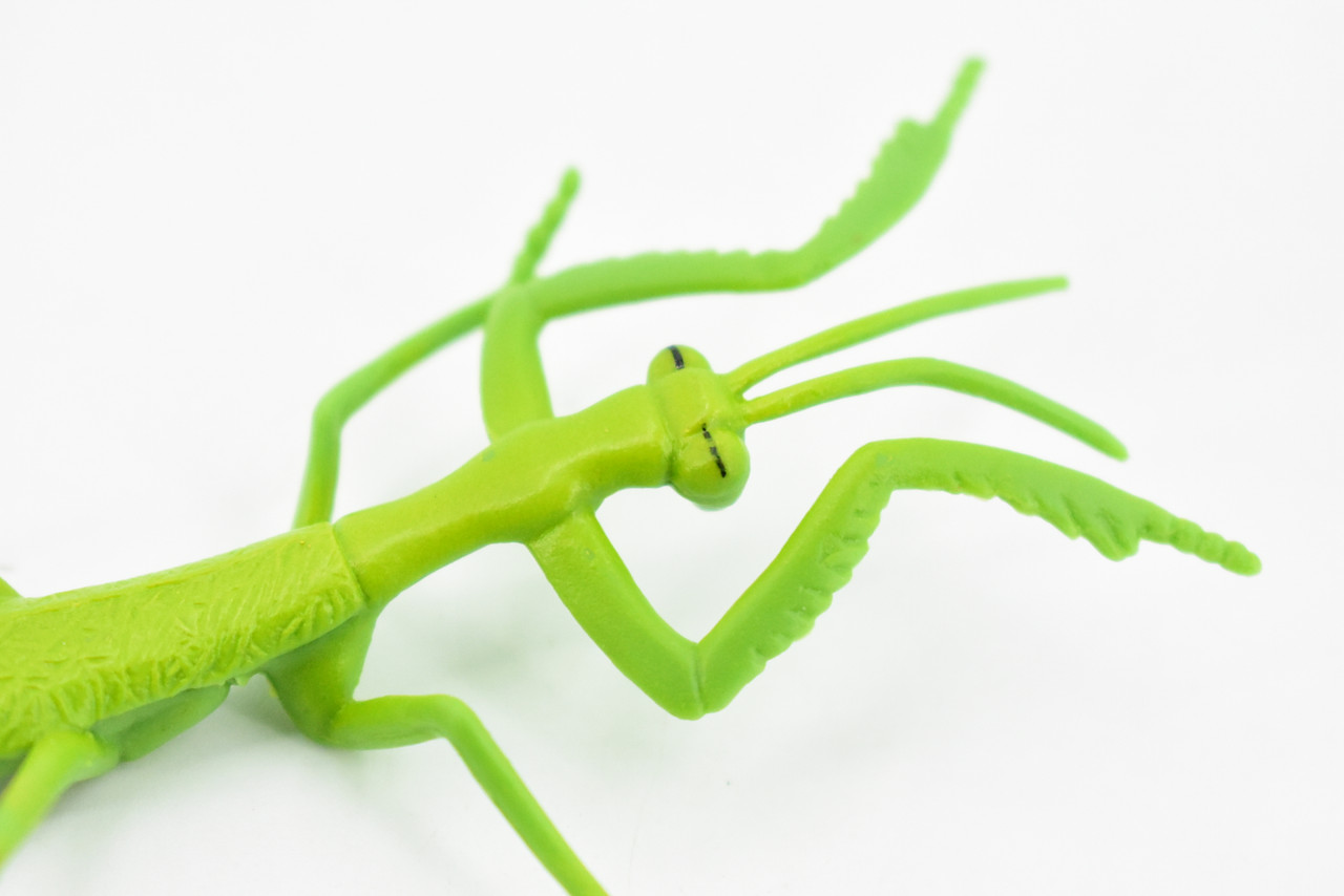 Praying Mantis, Rubber Insect, Toy, Realistic Figure, Model, Replica, Kids Educational Gift,    3 1/2"     F1657B74