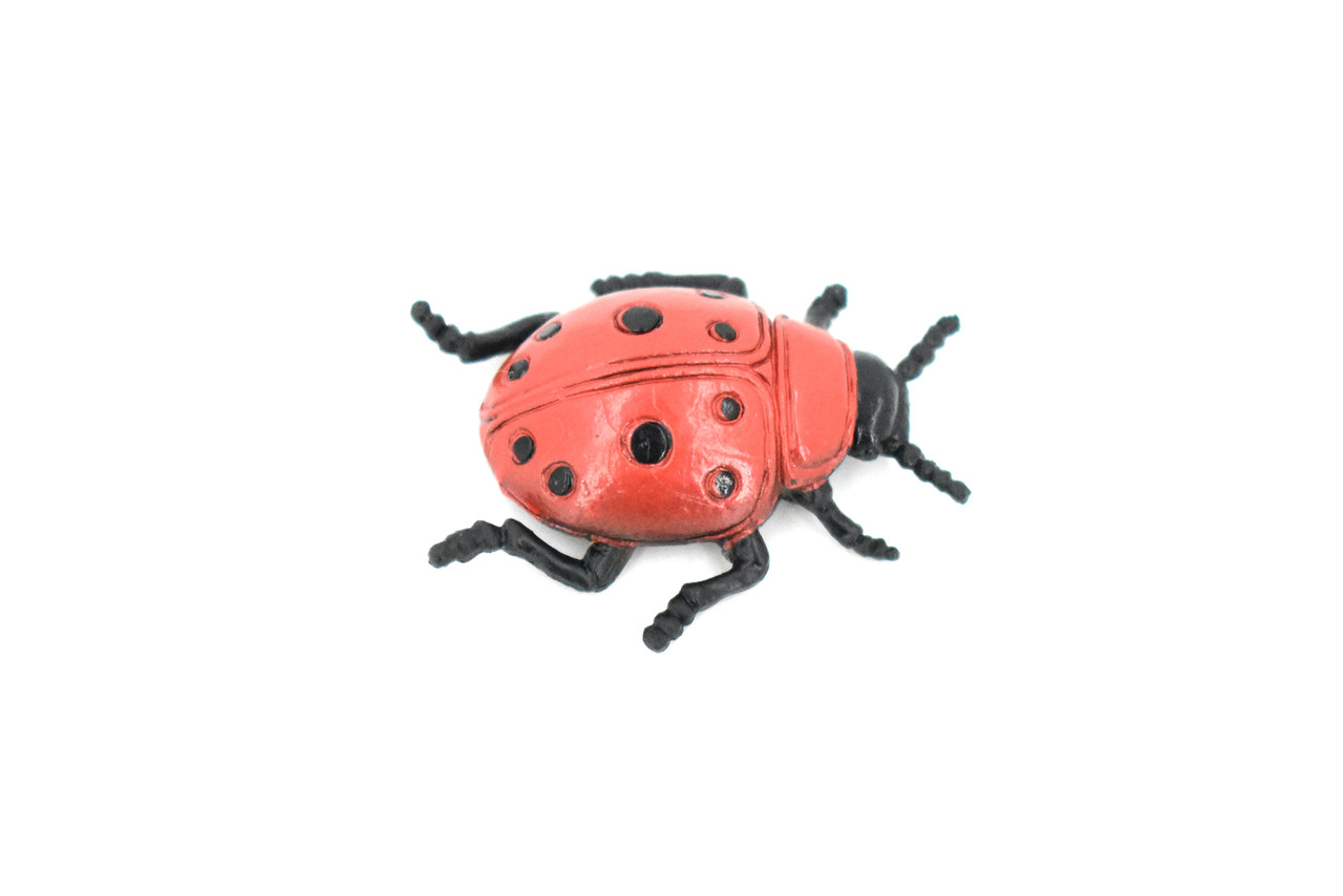 Ladybug, Rubber Insect, Toy, Realistic Figure, Model, Replica, Kids Educational Gift,     1 1/2 "      F1659 B74