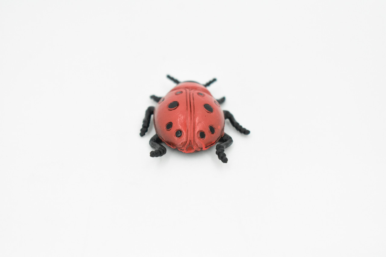 Ladybug, Rubber Insect, Toy, Realistic Figure, Model, Replica, Kids Educational Gift,     1 1/2 "      F1659 B74