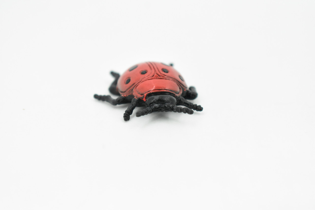 Ladybug, Rubber Insect, Toy, Realistic Figure, Model, Replica, Kids Educational Gift,     1 1/2 "      F1659 B74