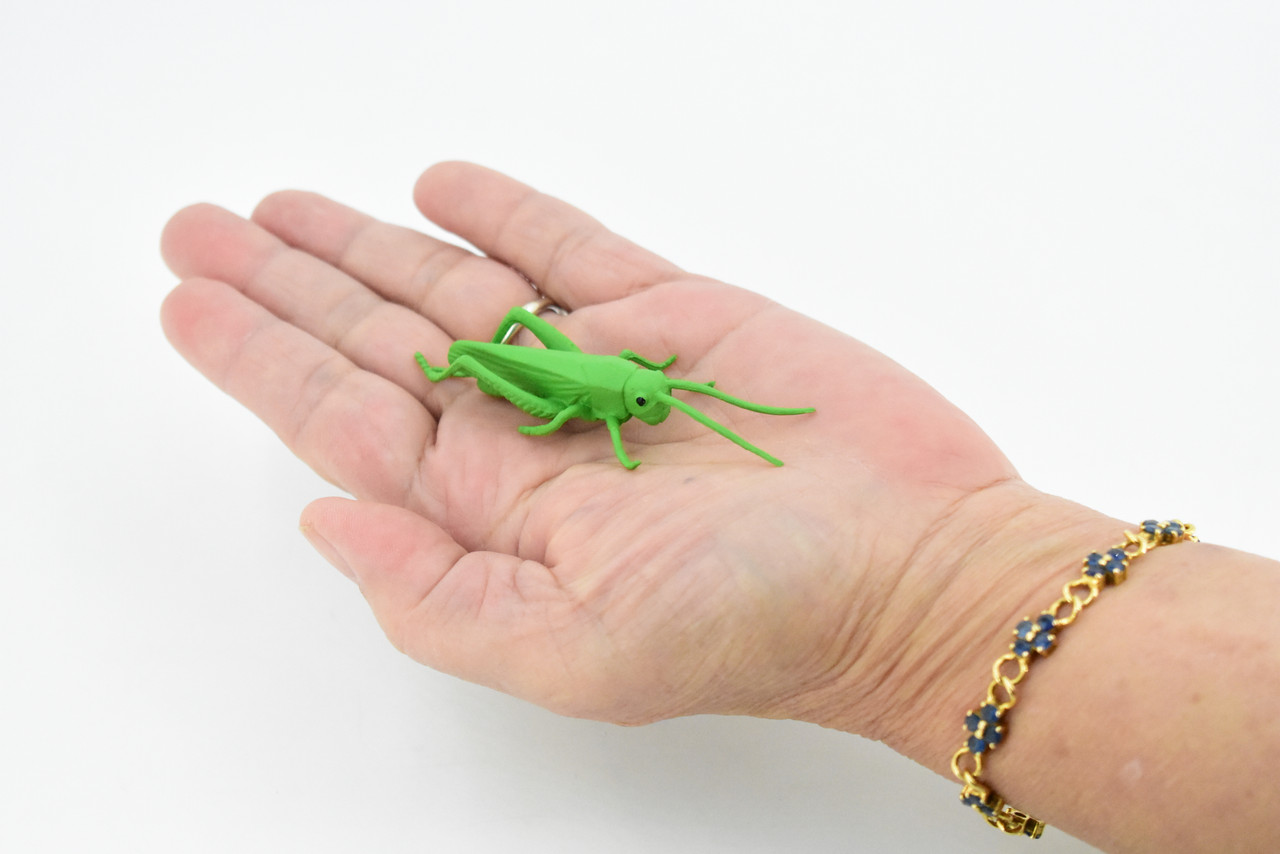 Grasshopper, Plastic Toy Animal, Kids Gift, Realistic Figure, Educational Model, Replica, Gift,    3 inches long     F1661 B74