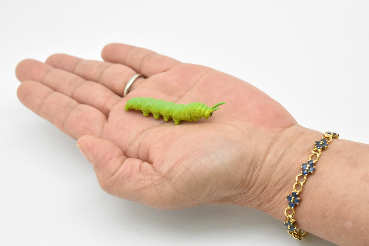 Caterpillar, Green, Realistic Figure, Model, Replica, Kids Educational Gift   2 1/4"    F1664 B74