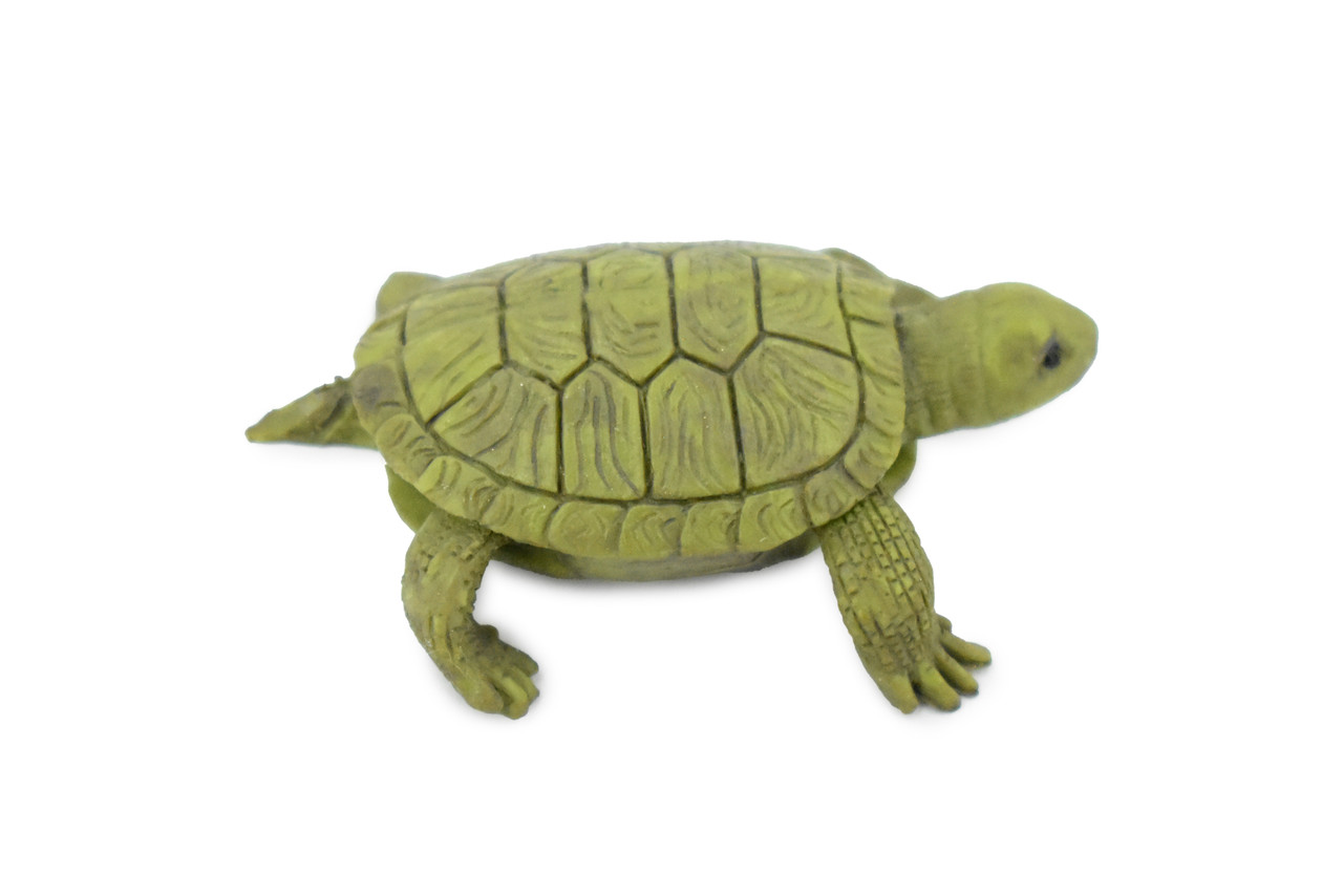 Turtle, Box Turtle, Pond Turtle, Rubber Reptile, Educational, Realistic, Figure, Lifelike Model, Figurine, Replica, Gift,       1 3/4" 