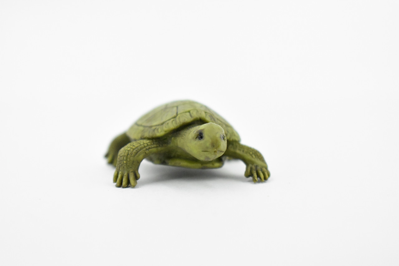 Turtle, Box Turtle, Pond Turtle, Plastic Reptile, Educational, Realistic, Figure, Lifelike Model, Figurine, Replica, Gift,       1 3/4"    F1666 B63