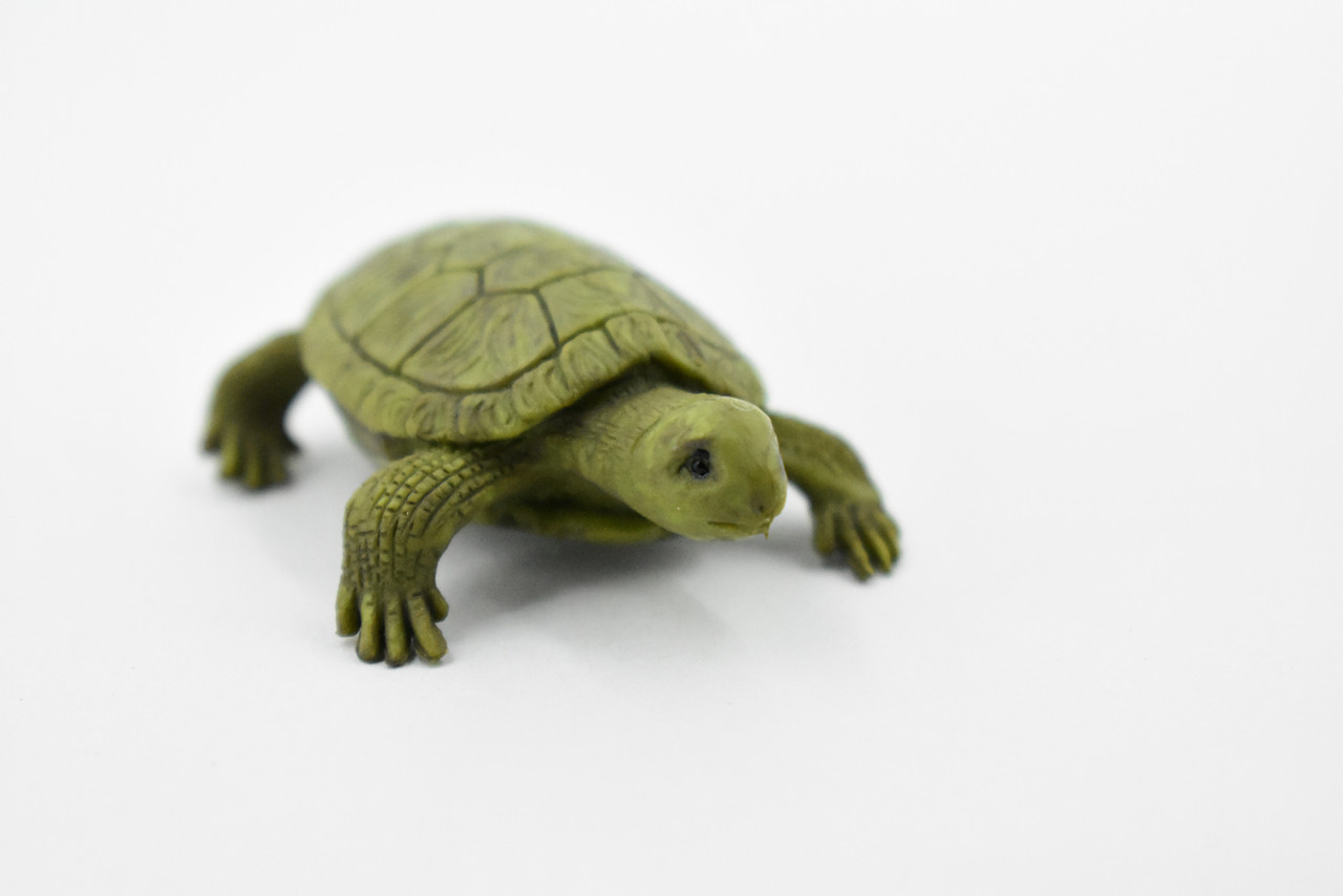 Turtle, Box Turtle, Pond Turtle, Plastic Reptile, Educational, Realistic, Figure, Lifelike Model, Figurine, Replica, Gift,       1 3/4"    F1666 B63