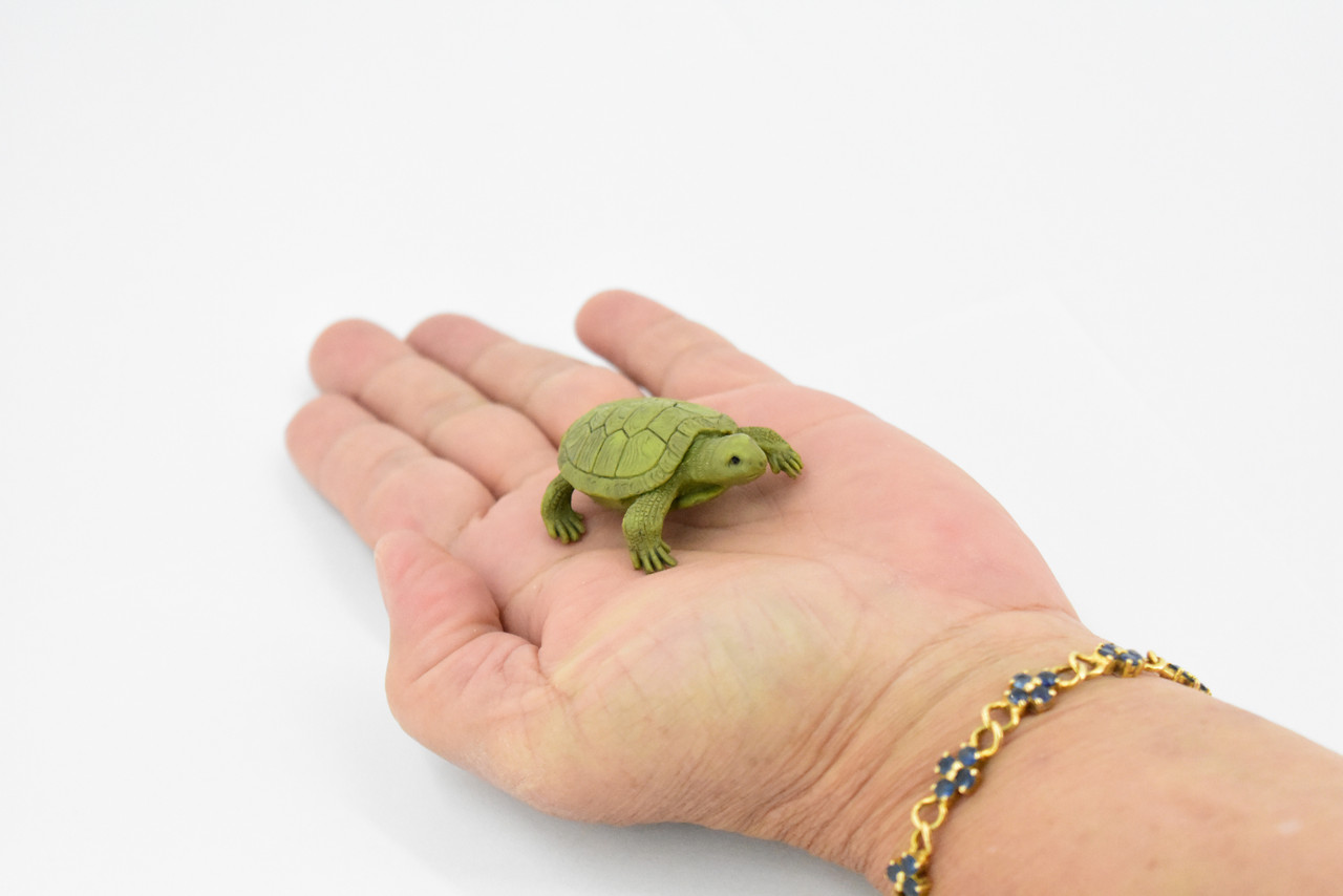 Turtle, Box Turtle, Pond Turtle, Rubber Reptile, Educational, Realistic, Figure, Lifelike Model, Figurine, Replica, Gift,       1 3/4" 