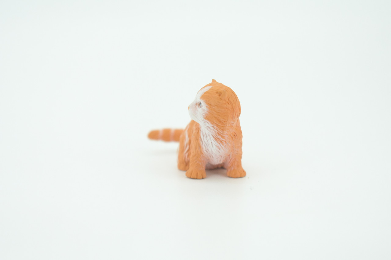 House Cat,  Orange Tabby, Marmalade Cat, Rubber, Hand Painted, Realistic, Figure, Model, Replica, Toy, Kids, Educational, Gift,    2"   F1667 B63