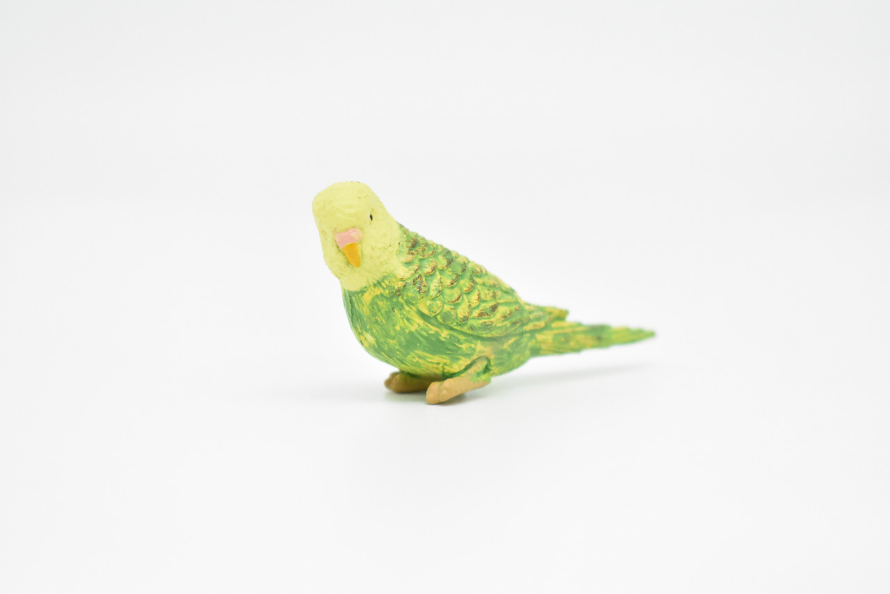 Parakeet, Green, Very Nice Rubber Bird, Educational, Realistic, Hand Painted, Figure, Lifelike Model, Gift,     2 1/2"    F1669 B63