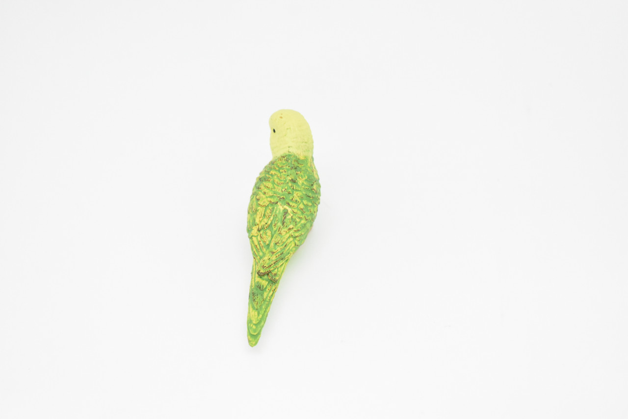 Parakeet, Green, Very Nice Rubber Bird, Educational, Realistic, Hand Painted, Figure, Lifelike Model, Gift,     2 1/2"    F1669 B63