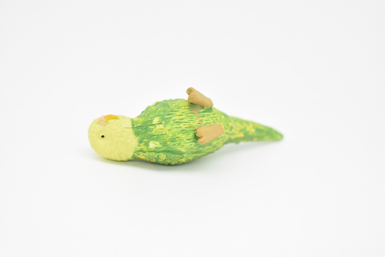 Parakeet, Green, Realistic Rubber Model,  Hand Painted Toy   2 1/2"    F1669 B63