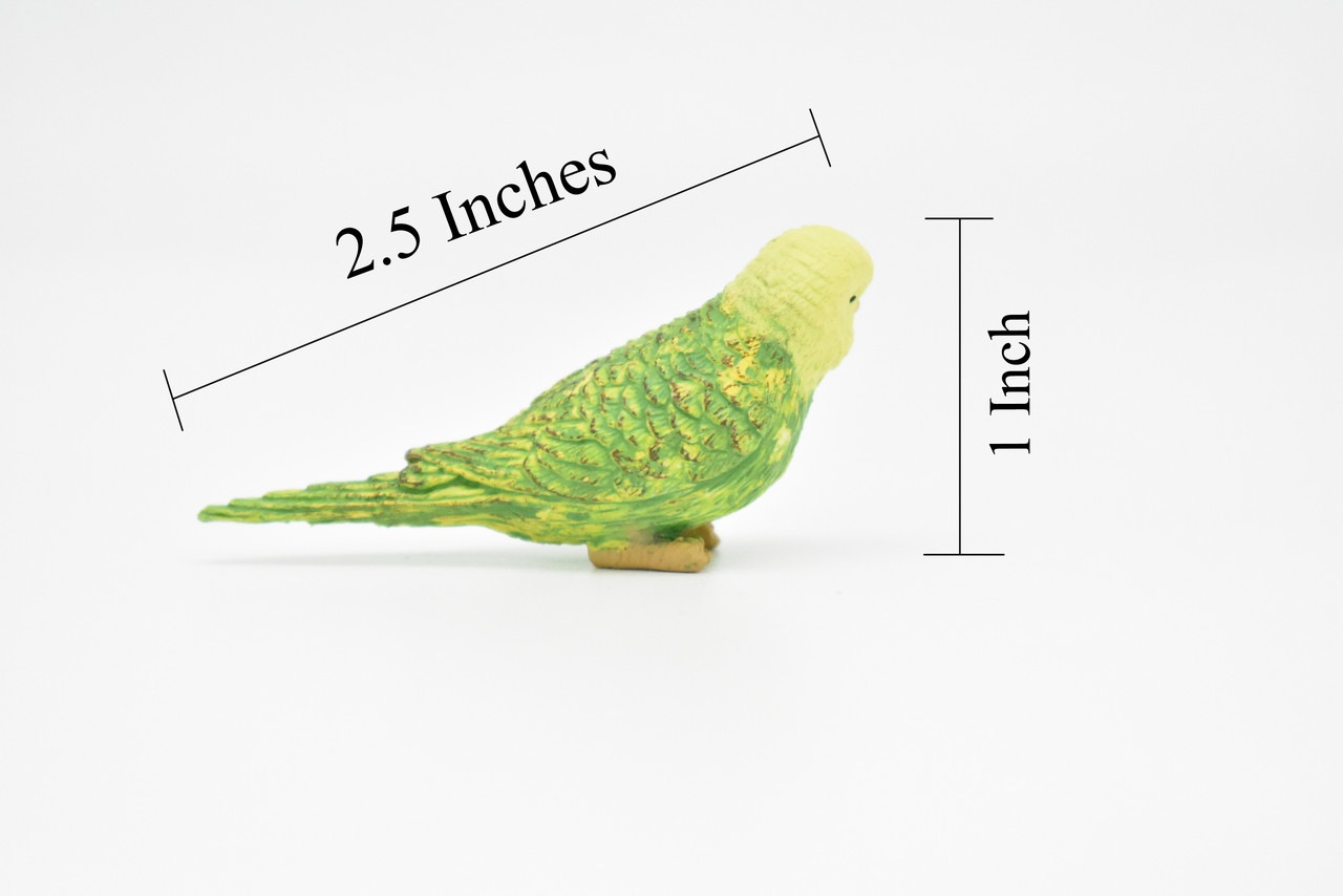Parakeet, Green, Budgerigars, Budgies, Very Nice Rubber Bird, Educational, Realistic, Hand Painted, Figure, Lifelike Model, Gift,   2 1/2" 