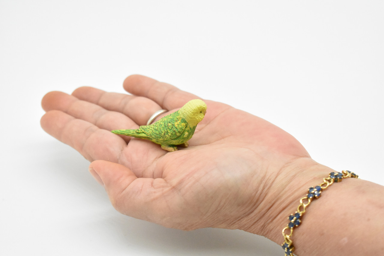 Parakeet, Green, Budgerigars, Budgies, Very Nice Rubber Bird, Educational, Realistic, Hand Painted, Figure, Lifelike Model, Gift,   2 1/2" 