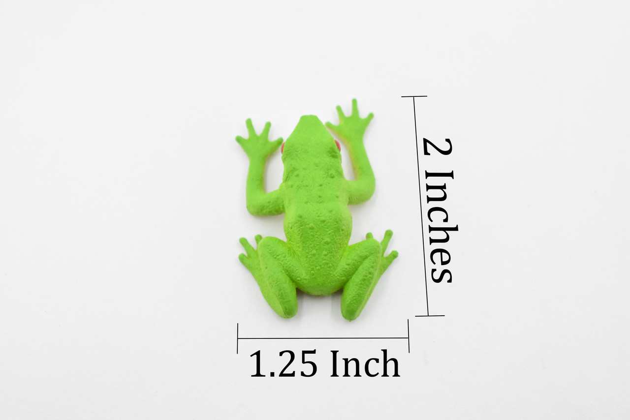 Red-Eyed Poison Dart Frog,  Hand Painted, Educational, Rubber Amphibian, Realistic Figure, Lifelike, Gift,      2"  