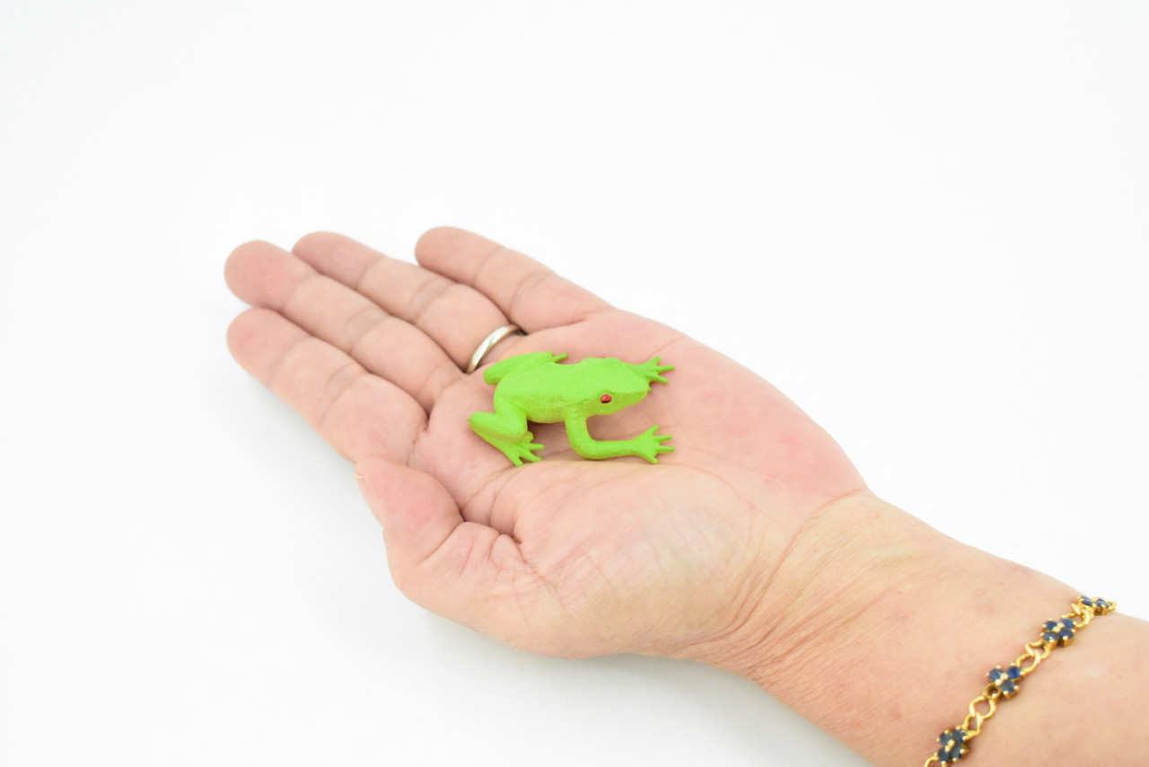 Red-Eyed Poison Dart Frog,  Hand Painted, Educational, Rubber Amphibian, Realistic Figure, Lifelike, Gift,      2"  