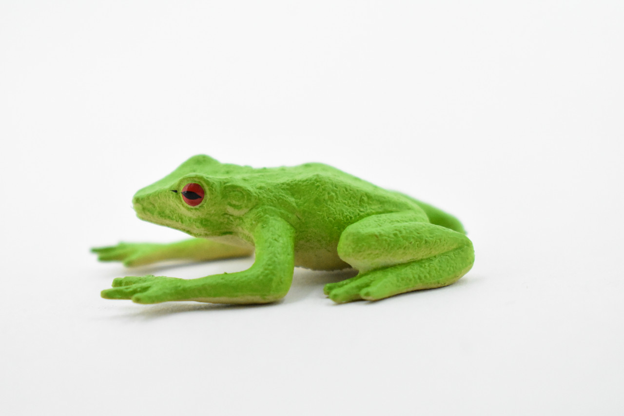 Red-Eyed Poison Dart Frog,  Hand Painted, Educational, Rubber Amphibian, Realistic Figure, Lifelike, Gift,      2"     F1670 B63