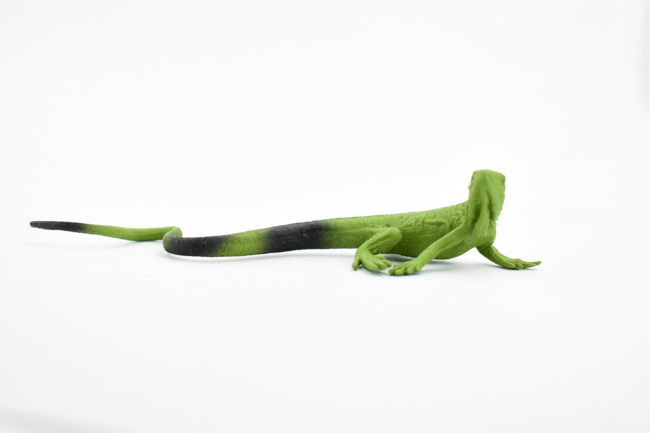 Iguana, Lizard, Rubber Reptile, Toy, Educational, Realistic, Figure, Lifelike Model, Figurine, Replica, Gift,      4 1/2"