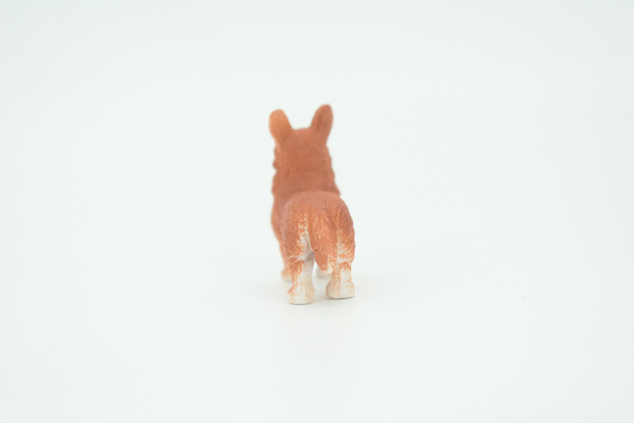 Welsh Corgi, Cardigan, Rubber Dog, Hand Painted, Realistic, Figure, Model, Replica, Toy, Kids, Educational, Gift,    2"     F1676 B63