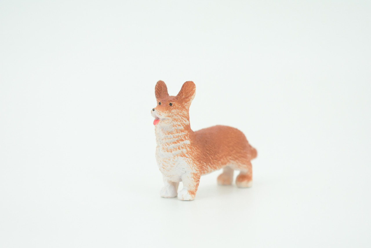 Welsh Corgi, Cardigan, Rubber Dog, Hand Painted, Realistic, Figure, Model, Replica, Toy, Kids, Educational, Gift,    2"     F1676 B63