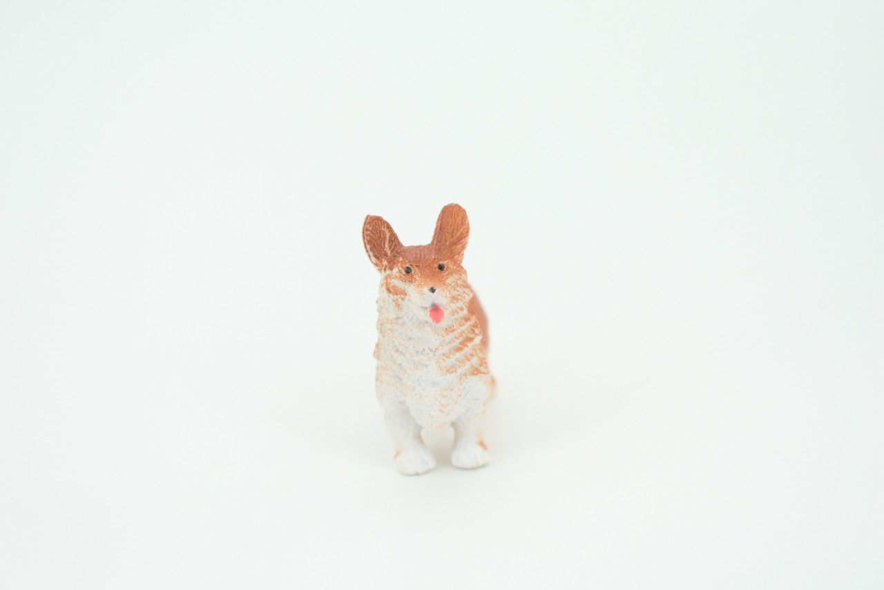 Welsh Corgi, Cardigan, Rubber Dog, Hand Painted, Realistic, Figure, Model, Replica, Toy, Kids, Educational, Gift,    2"     F1676 B63