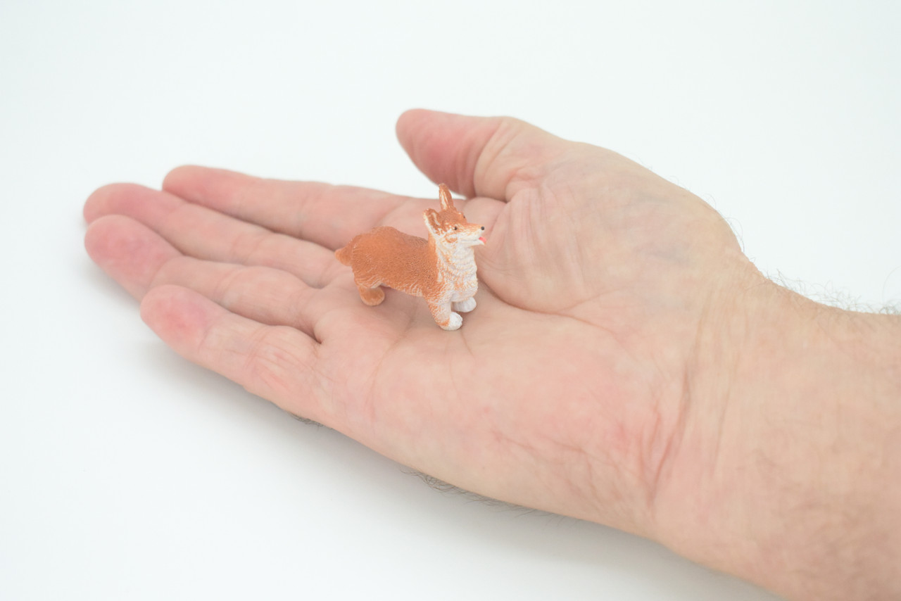 Welsh Corgi, Cardigan, Rubber Dog, Hand Painted, Realistic, Figure, Model, Replica, Toy, Kids, Educational, Gift,    2"     F1676 B63