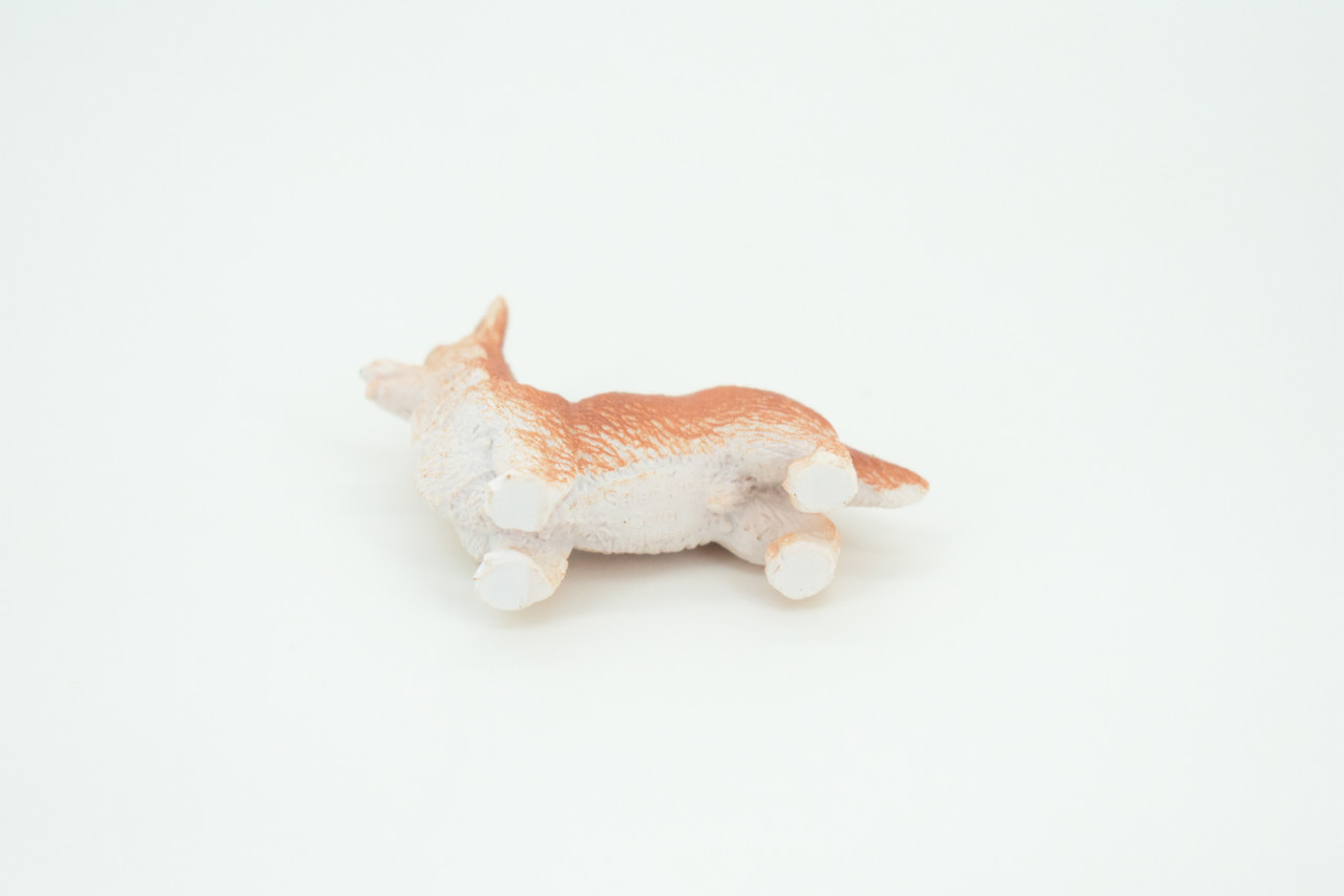 Welsh Corgi, Cardigan, Rubber Dog, Hand Painted, Realistic, Figure, Model, Replica, Toy, Kids, Educational, Gift,    2"     F1676 B63
