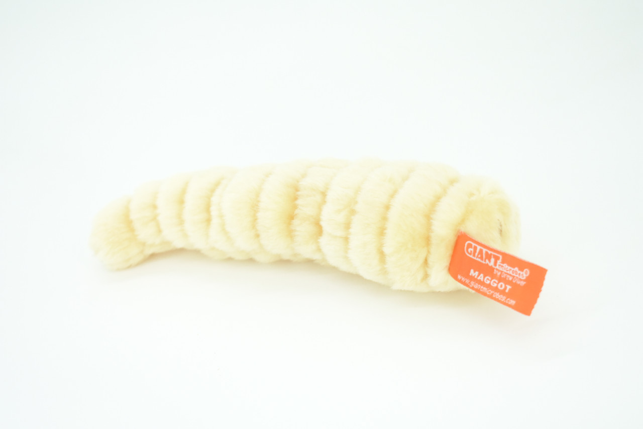 Maggot, Lucilia sericata, Fly larvae, Maggot worms, Plush Design, Educational, Figure, Replica, Gift,    9"     F1698 B92
