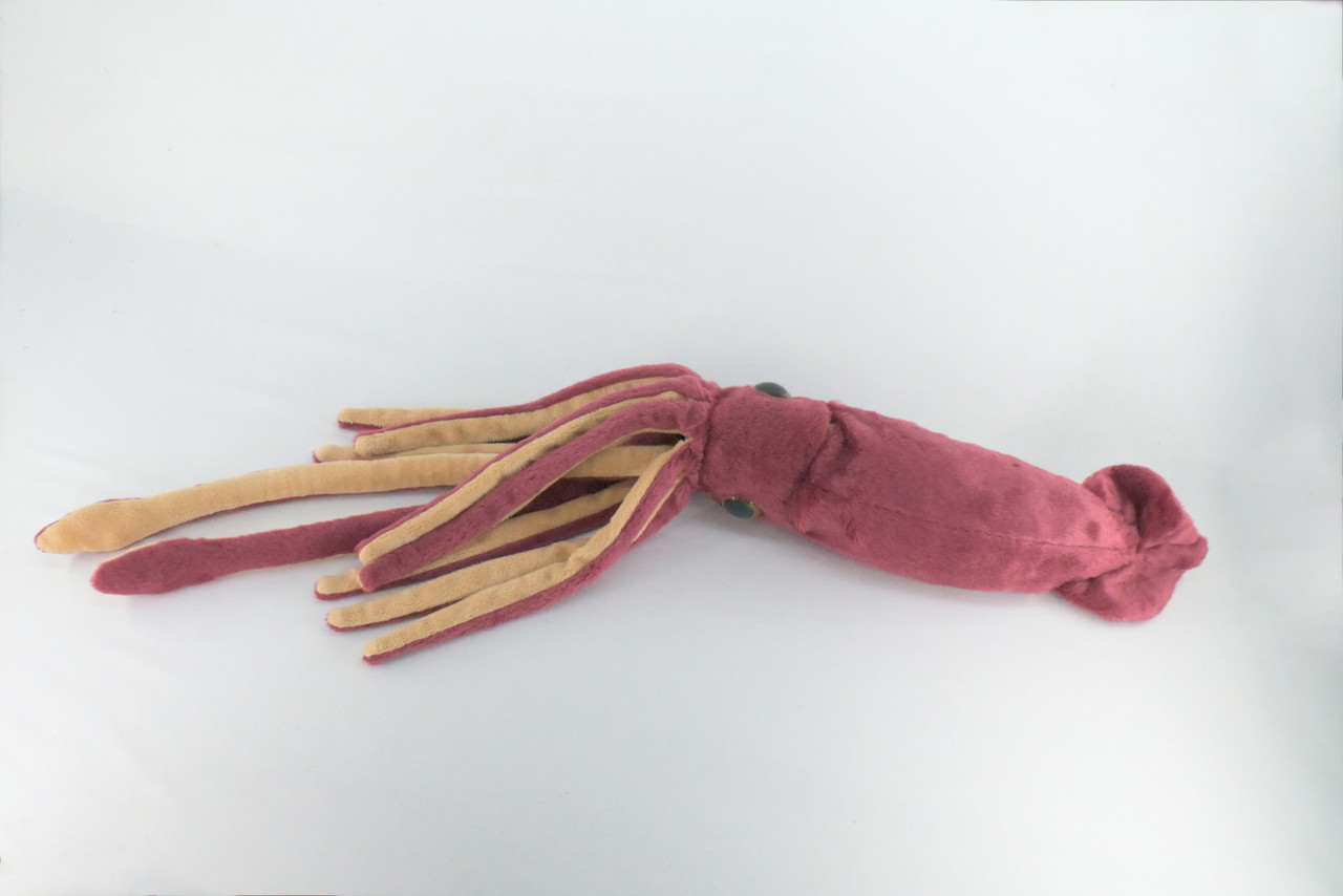 Squid, Giant Squid, Ocean, Marine, Very Nice Plush, Stuffed Animal, Toy, Kids, Realistic Figure, Educational, Gift,    30 inches long    F1704 B25