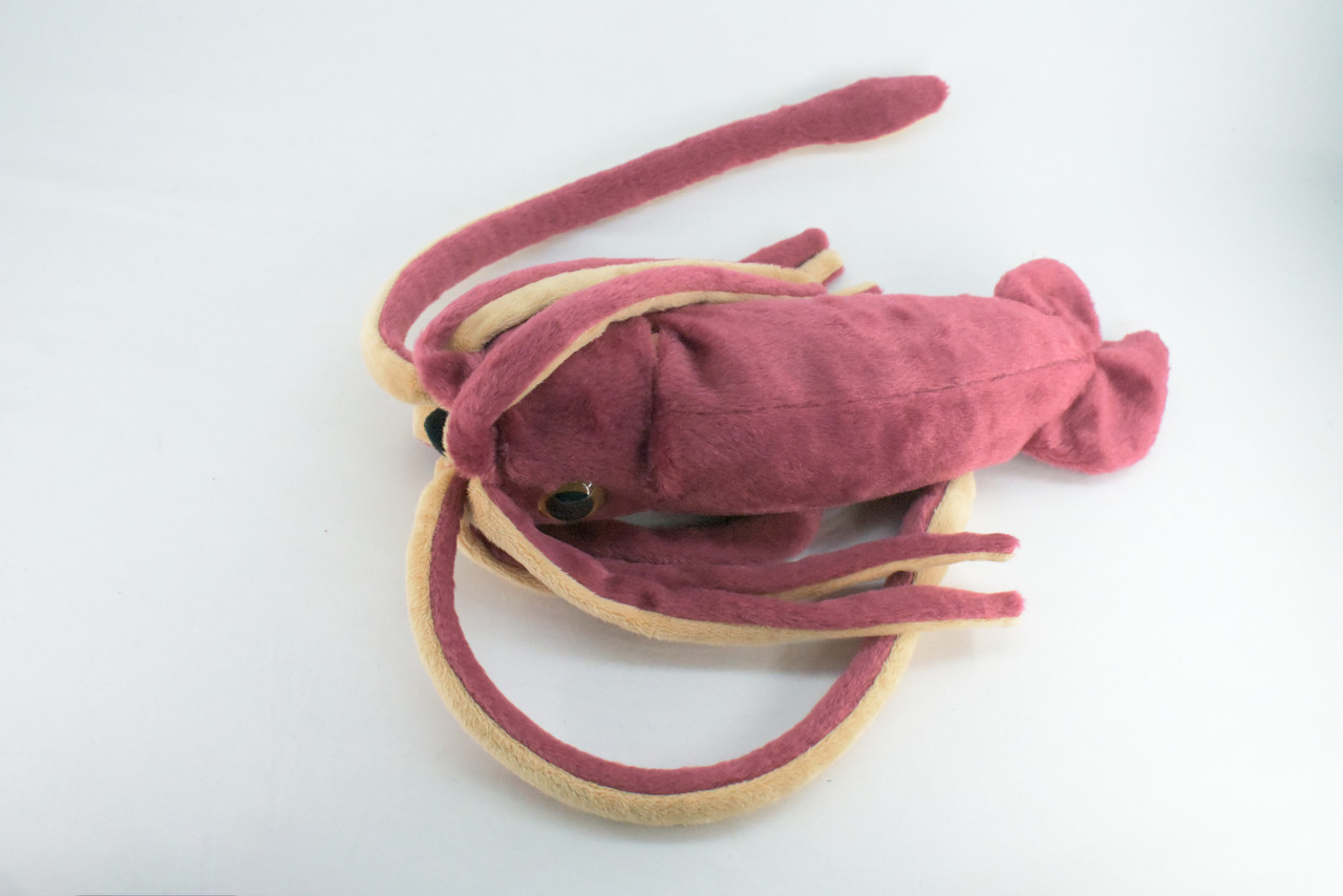 Squid, Giant Squid, Ocean, Marine, Very Nice Plush, Stuffed Animal, Toy, Kids, Realistic Figure, Educational, Gift,    30 inches long    F1704 B25