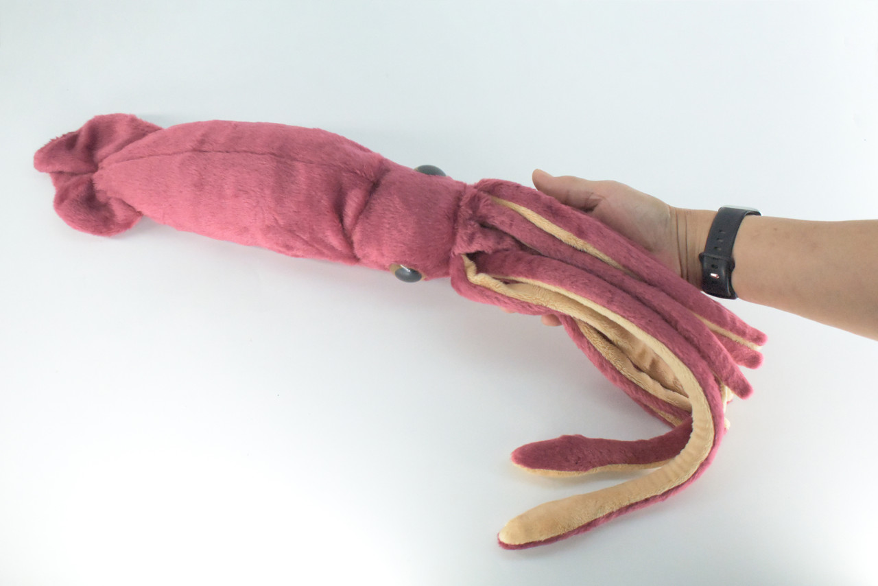 Squid, Giant Squid, Ocean, Marine, Very Nice Plush, Stuffed Animal, Toy, Kids, Realistic Figure, Educational, Gift,    30 inches long    F1704 B25