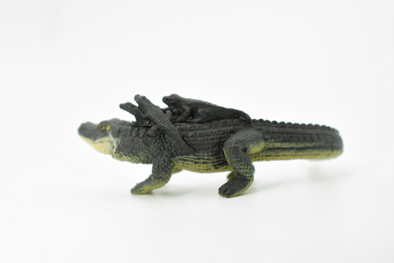 Alligator, Crocodile, 3 Juvenile Alligators, Rubber Toy Reptile, Realistic Figure, Model, Replica, Kids, Educational, Gift,      3"     F1745 B77