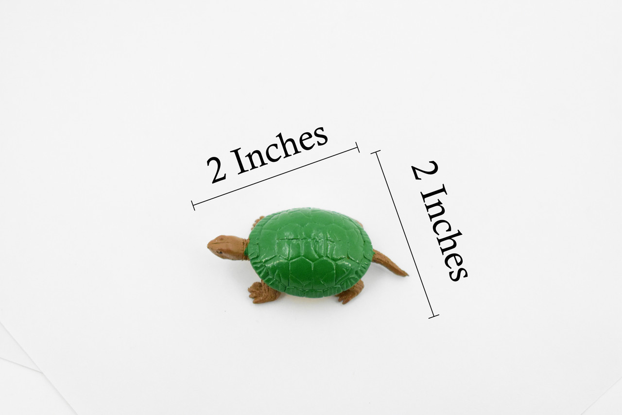 Turtle, Box Turtle, Pond Turtle, Plastic Reptile, Educational, Realistic, Hand Painted, Figure, Lifelike Model, Figurine, Replica, Gift,    2"    F1749 B77