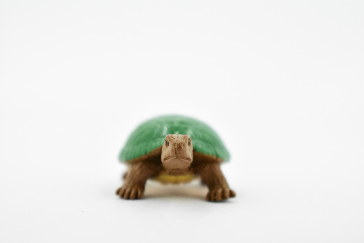 Turtle, Box Turtle, Pond Turtle, Plastic Reptile, Educational, Realistic, Hand Painted, Figure, Lifelike Model, Figurine, Replica, Gift,    2"    F1749 B77