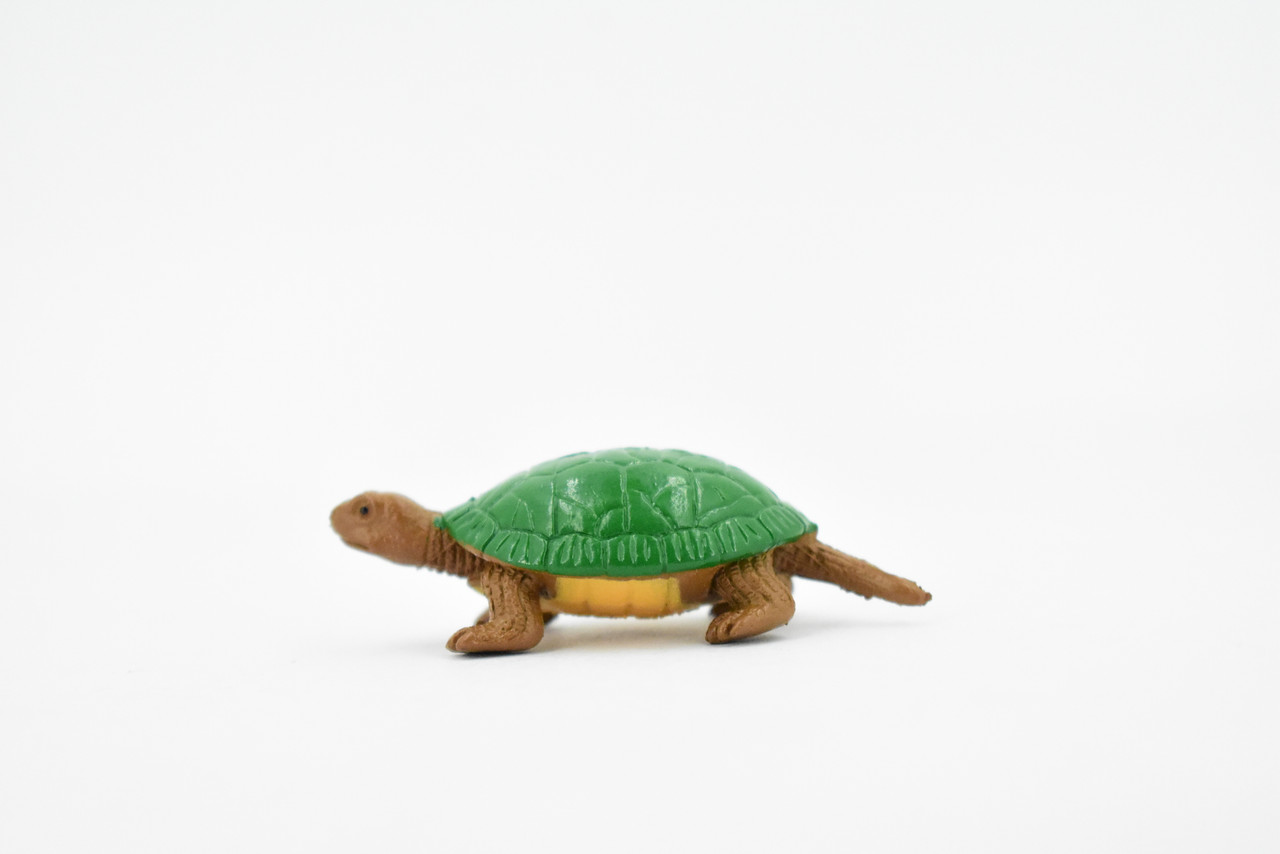 Turtle, Box Turtle, Pond Turtle, Plastic Reptile, Educational, Realistic, Hand Painted, Figure, Lifelike Model, Figurine, Replica, Gift,    2"    F1749 B77