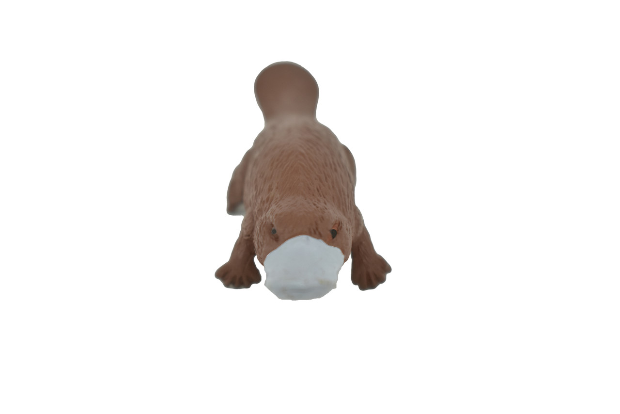 Platypus, Duck Billed platypus, Australian, Very Nice Rubber Design, Animal Figure, Educational Design, Lifelike, Diorama Model, Replica, Toy, Kids, 3 Inches  
