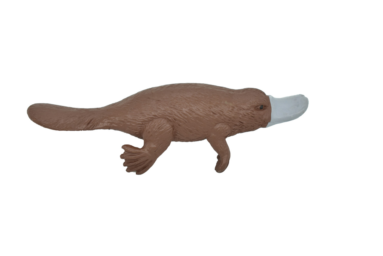 Platypus, Duck Billed platypus, Australian, Very Nice Rubber Design, Animal Figure, Educational Design, Lifelike, Diorama Model, Replica, Toy, Kids, 3 Inches  