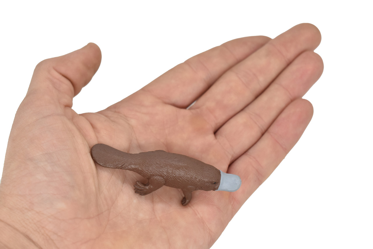 Platypus, Duck Billed platypus, Australian, Very Nice Rubber Design, Animal Figure, Educational Design, Lifelike, Diorama Model, Replica, Toy, Kids, 3 Inches  