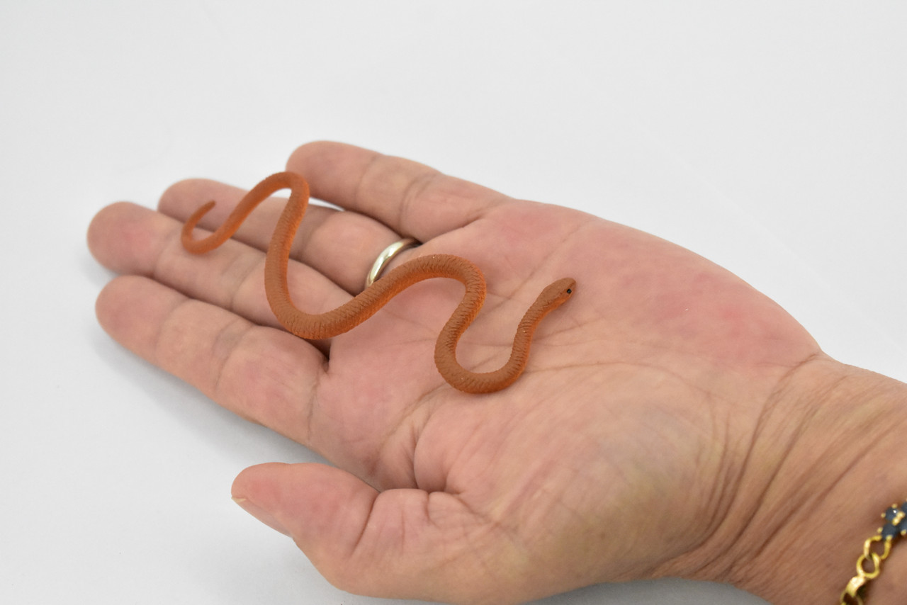 Inland Taipan, Western Taipan, Reptiles of the Australian outback, Very Nice Rubber Design, Educational Design, Lifelike, Diorama Model, Toy, Kids,  4 Inches