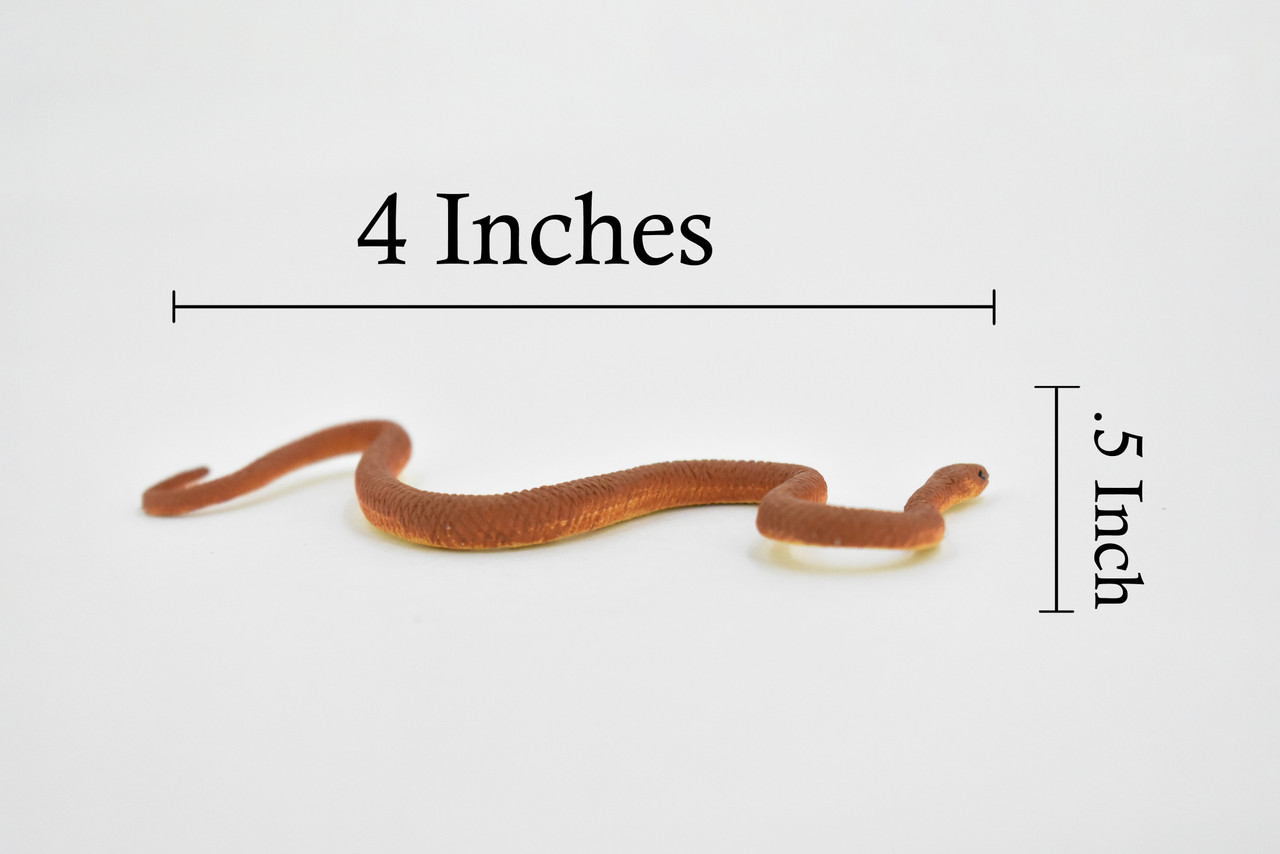 Inland Taipan, Western Taipan, Reptiles of the Australian outback, Very Nice Rubber Design, Educational Design, Lifelike, Diorama Model, Toy, Kids,  4 Inches