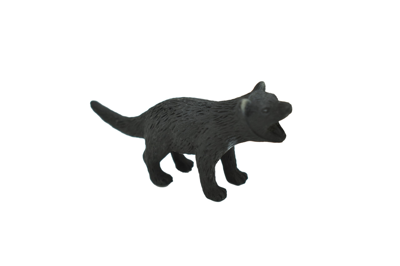 Tasmanian Devil, Tassie devil, Marsupial, Very Nice Rubber Design, Educational Design, Lifelike, Diorama Model, Replica, Toy, Kids,  2 1/2  Inches