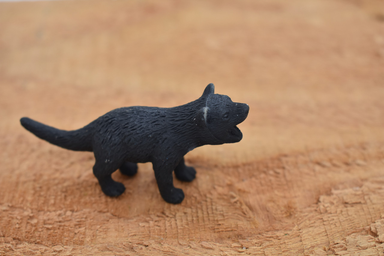Tasmanian Devil, Tassie devil, Marsupial, Very Nice Rubber Design, Educational Design, Lifelike, Diorama Model, Replica, Toy, Kids,  2 1/2  Inches