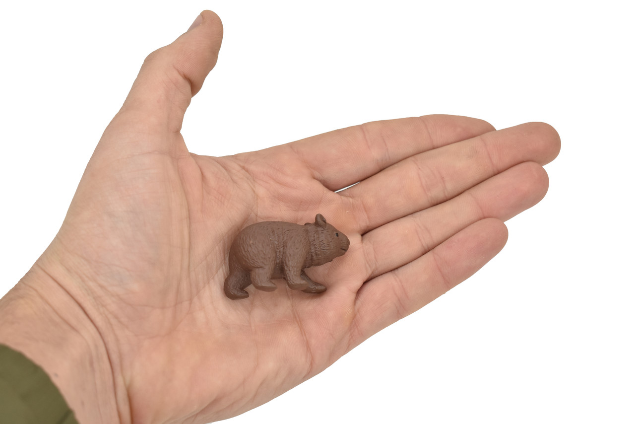 Wombat, Marsupials, Australia's unique Animal, Very Nice Rubber Design, Educational Figure, Lifelike, Diorama Model, Replica, Toy, Kids,  1 3/4 Inches.