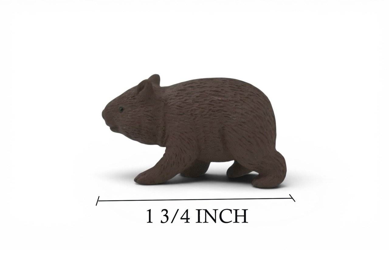 Wombat, Marsupials, Australia's unique Animal, Very Nice Rubber Design, Educational Figure, Lifelike, Diorama Model, Replica, Toy, Kids, Gift, 1 3/4 Inches. F1762 B42