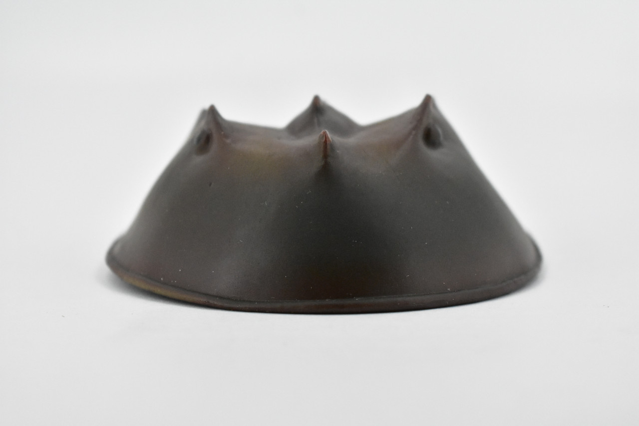Crab, Horseshoe Crab, Museum Quality, Rubber, Crustaceans, Educational, Realistic, Hand Painted, Figure, Lifelike Figurine, Replica, Gift,      6 1/2"    F1771 B10