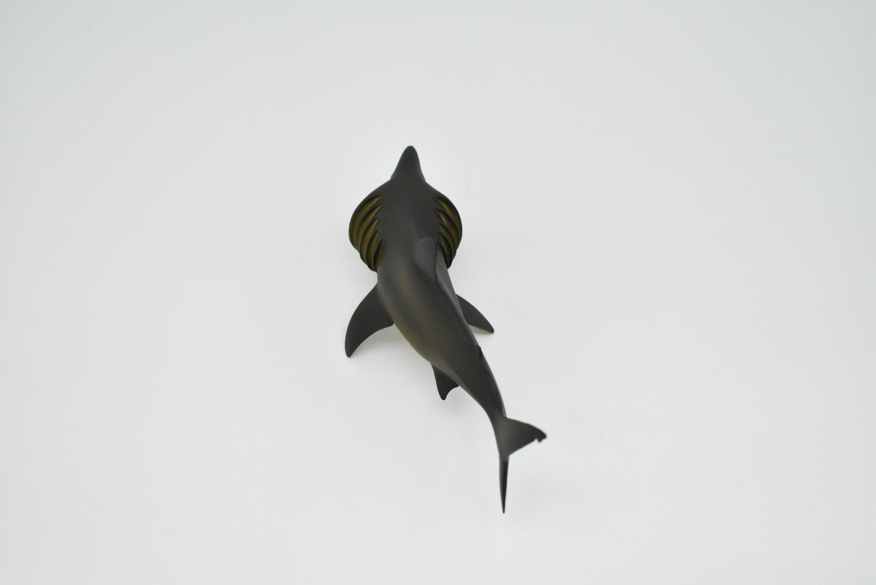 Basking Shark, Museum Quality Plastic Replica, Hand Painted   5 1/2 inches long   -   F1773 B97