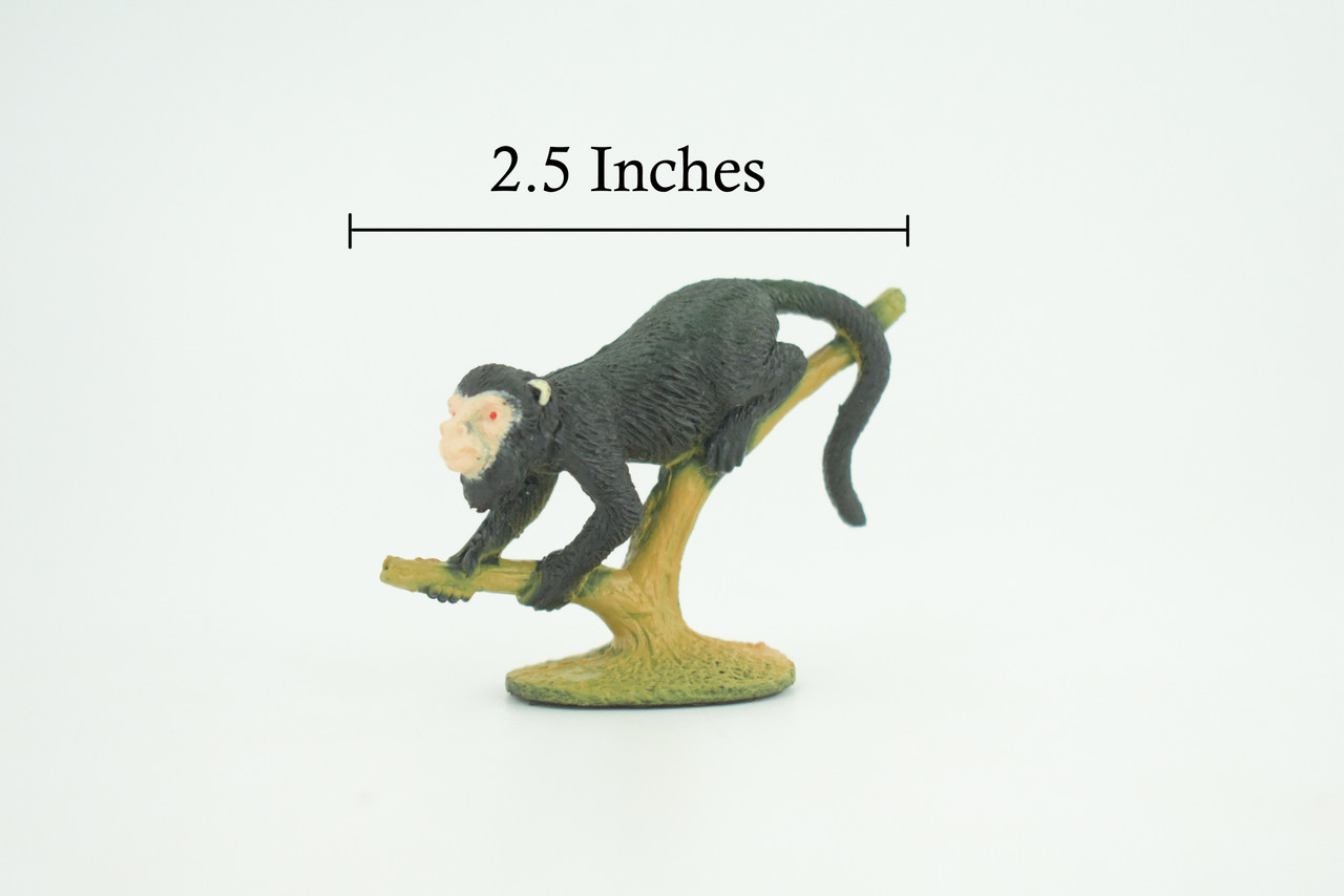 Capuchin Monkeys, Cebinae, Primates, Rubber Animal Toy, Educational, Realistic Figure, Lifelike, Model, Toys, Gift, 2 1/4 Inches. F1774 B129