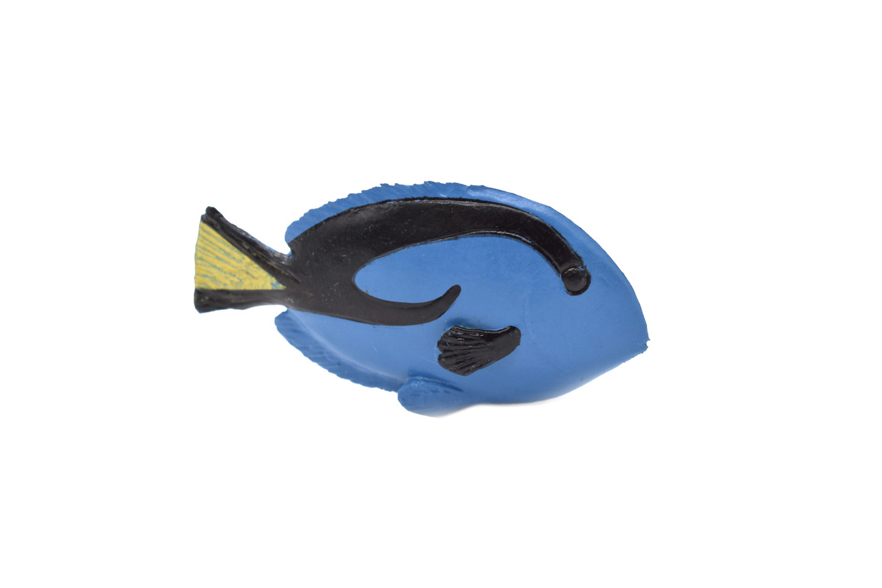 RIGHT SIDE BLUE TANG