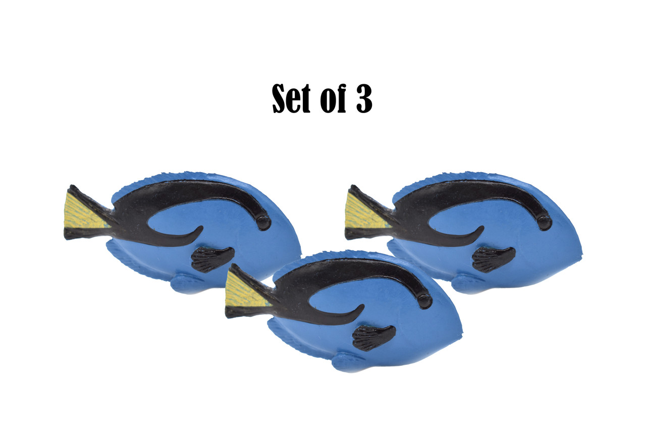 Blue Tang, Palette Surgeonfish, Royal, Regal, Plastic Fish Design